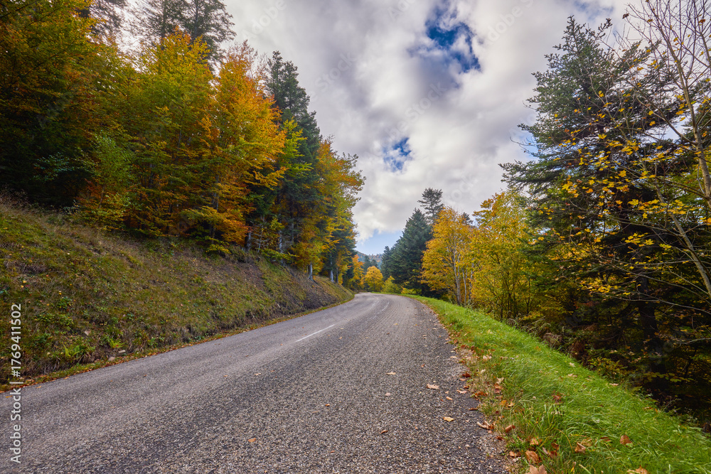 Fototapeta premium a mountain road during autumn with colorful trees