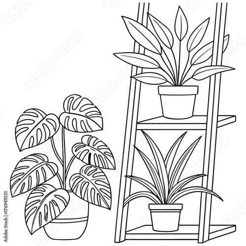 Tranquil Greenery on Wooden Shelf