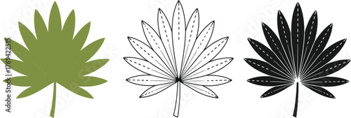 Palm leaf vector set tropical foliage illustration design art