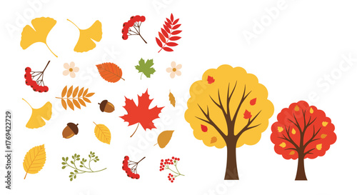 Assortment of autumn elements with colorful leaves, berries, acorns, and two stylized fall trees in yellow and red.