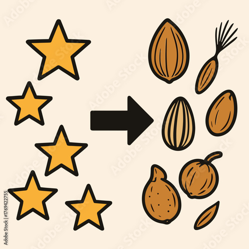 Illustration showing transformation of stars into various nuts and seeds