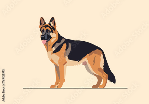 Illustration of a German Shepherd dog standing on a light background.