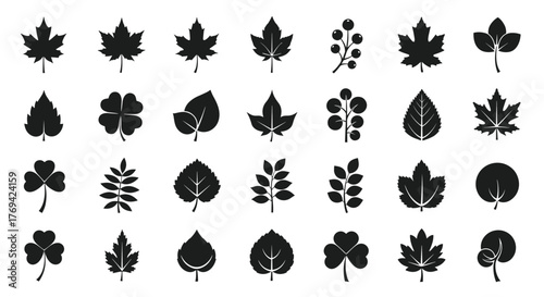 Collection of black silhouette leaf icons, representing various plant types and seasonal changes, ideal for nature-themed designs.