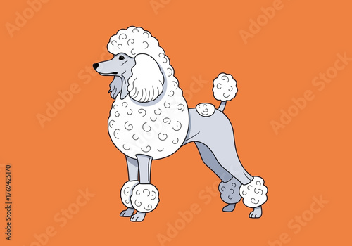 Cartoon illustration of a white poodle dog standing on an orange background, showcasing its distinctive fluffy haircut.