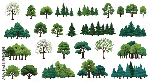 A diverse collection of illustrated trees, featuring deciduous and coniferous varieties in various shapes and sizes for design.