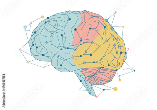 Illustration of a stylized human brain with interconnected nodes representing neural pathways and brain regions
