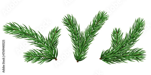 Vector realistic pine tree branch for Christmas and New Year design isolated on a transparent background. Holiday fir tree branch for winter banner, poster, greeting card.