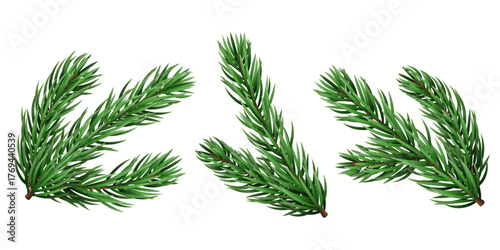 Vector realistic pine tree branch for Christmas and New Year design isolated on a transparent background. Holiday fir tree branch for winter banner, poster, greeting card.