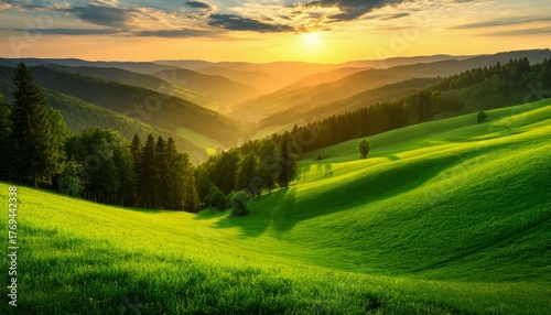 Fototapeta Naklejka Na Ścianę i Meble -  Green rolling hills and a vast valley illuminated by the warm golden light of a sunrise, showcasing a serene natural landscape with lush meadows and distant mountains