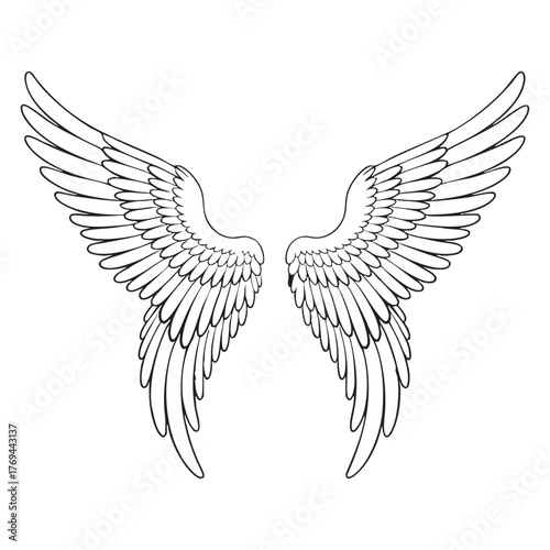 Vector of bird angel wings on a white background. Thick line
