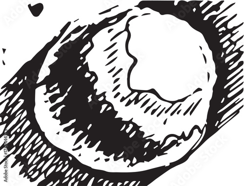 Moon rises over a quiet landscape showcasing stars in the clear night sky during a peaceful evening