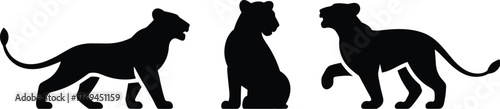 Big cat silhouette, panther pose, lion figure, walking stance, sitting posture, black graphic, vector illustration, wild animal, feline icon, motionBig cat silhouette, panther pose, 