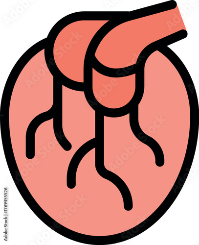 Stylized illustration of a human heart, highlighting the circulatory system with arteries and veins