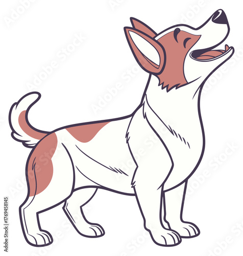 Smiling Jack Russell Terrier looking up eager happy white and brown dog.Isolated transparent background ( include cut-out PNG file )