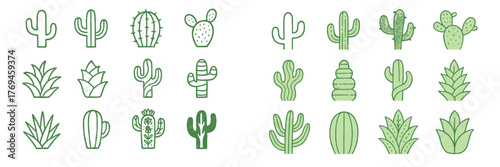 Collection of hand-drawn cactus illustrations showcasing various types and shapes in a green color palette