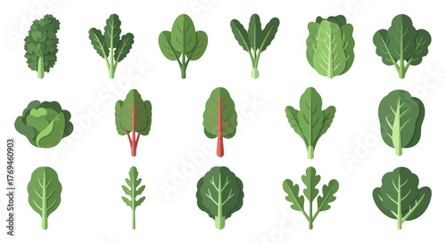 Variety of Leafy Green Vegetables - A Fresh and Healthy Collection.