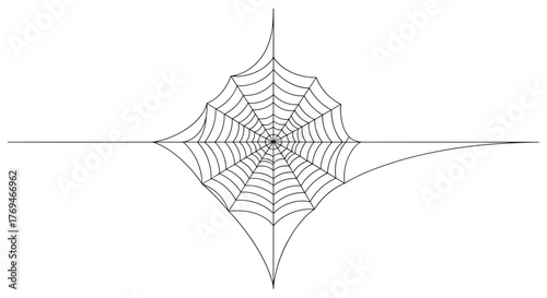 Detailed black and white illustration of a common spider web, radiating outwards from a central point.