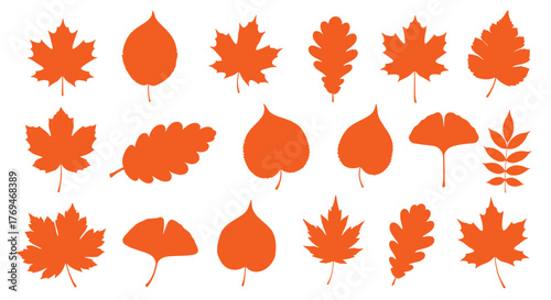 A collection of diverse orange autumn leaf silhouettes on a white background, representing various tree species for fall season designs.