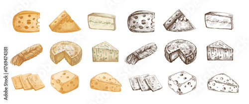 Hand drawn vintage sketch set of assorted cheese types including wedge, wheel, string, blue and sliced pieces in color and monochrome versions, detailed dairy food illustration, isolated vector design