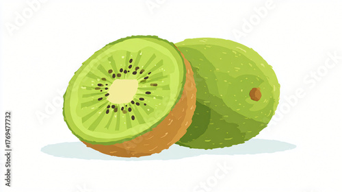 vector illustration of a kiwi fruit