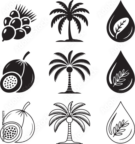 Nine Detailed Organic Palm Oil Fruit Clusters With Leaves natural