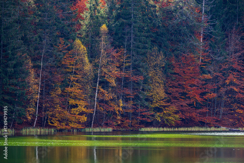 Autumn at Saint Ana Lake. Transylvania, Romania, Europe.