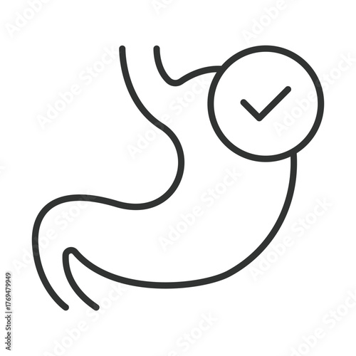 Stomach icon in line design. stomach, digestion, nutrition, health, wellness, body, food on white background vector. stomach editable stroke icon