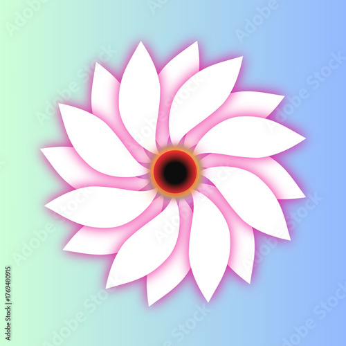 lotus flower on white background pink brightness 