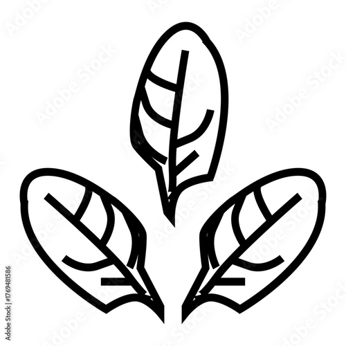 spinach vector illustration outline icon