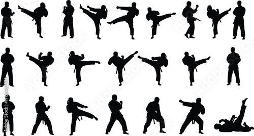 Martial arts silhouette poses, karate kick action, taekwondo stance, judo grappling, self defense moves, combat training, flat vector illustration