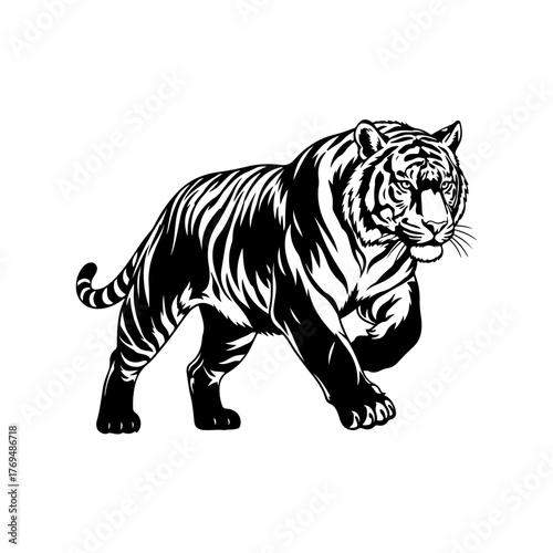 Running Tiger Silhouette Vector, Wild Animal