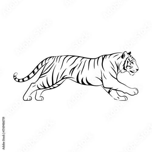 Running Tiger Silhouette Vector, Wild Animal