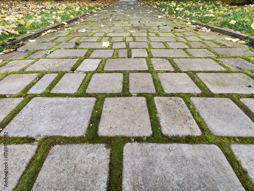 green walking path