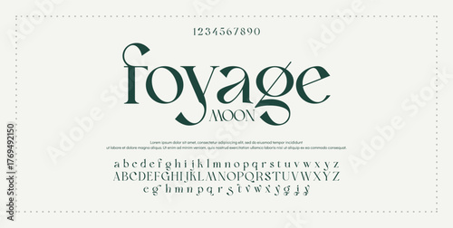 Elegant Font Uppercase Lowercase and Number. Classic Lettering Minimal Fashion Designs. Typography modern serif fonts regular decorative vintage concept. vector illustration
