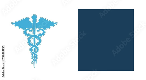 Caduceus Icon A Symbol of Healthcare and Medicine for Medical Professionals and Institutions