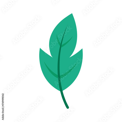 Minimalist plant leaf vector illustration
