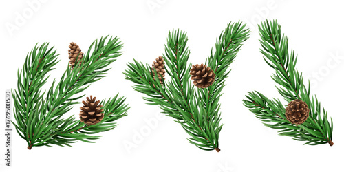 Vector realistic pine tree branch for Christmas and New Year design isolated on a transparent background. Holiday fir tree branch for winter banner, poster, greeting card.