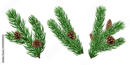 Vector realistic pine tree branch for Christmas and New Year design isolated on a transparent background. Holiday fir tree branch for winter banner, poster, greeting card.