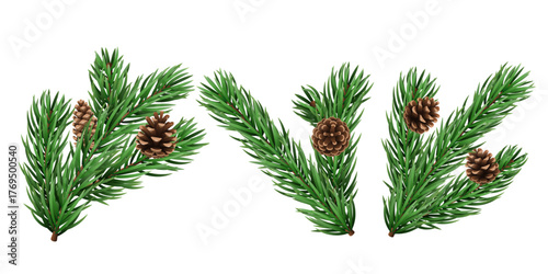 Vector realistic pine tree branch for Christmas and New Year design isolated on a transparent background. Holiday fir tree branch for winter banner, poster, greeting card.