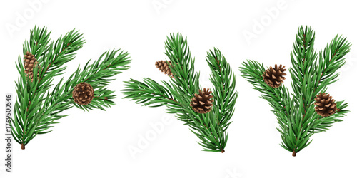 Vector realistic pine tree branch for Christmas and New Year design isolated on a transparent background. Holiday fir tree branch for winter banner, poster, greeting card.