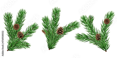 Vector realistic pine tree branch for Christmas and New Year design isolated on a transparent background. Holiday fir tree branch for winter banner, poster, greeting card.