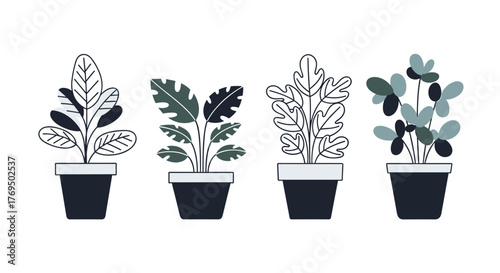 Collection of four stylish potted houseplants in a minimalist flat illustration style on a white background.