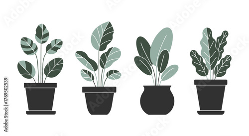 A collection of four minimalist potted house plants with diverse leaf shapes, rendered in a modern flat design style on a white background.