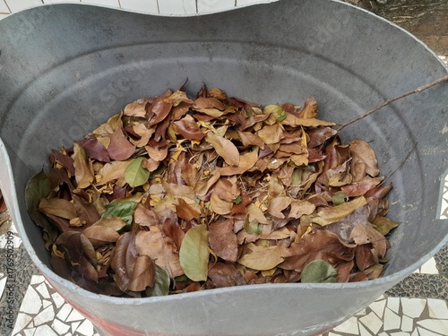 scoop of dry leaves