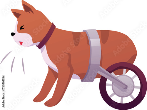 A sad cat with amputated legs on wheels, an unhealthy animal.