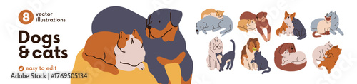 Cute cat and dog friends set. Funny pets hugging, cuddling, playing, sleeping and relaxing together. Canine and feline animals love, friendship. Flat vector illustrations isolated on white background.