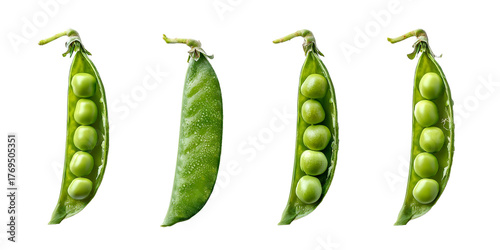 Fresh green pea pods showcasing different stages of fullness on a clean background