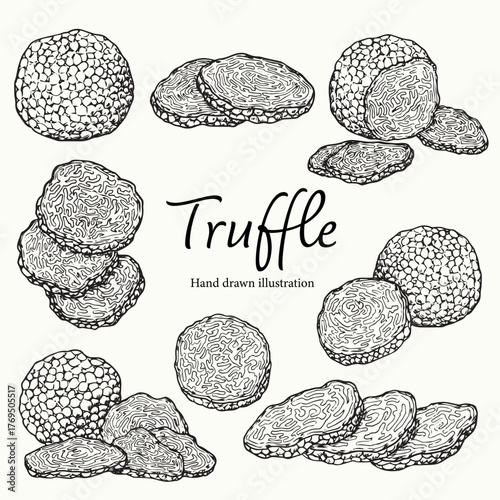 Set of hand drawn Truffle mushroom outline drawing illustration