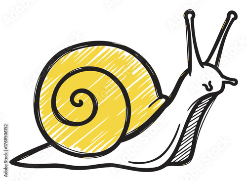 Hand-drawn sketch of a snail with a yellow, spiral shell and elongated body, showcasing intricate details and black outlines.