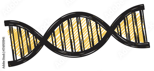 Black and yellow sketch-style representation of a dna double helix, showing intertwined strands and interior ladder-like structure.